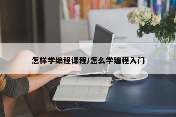 怎样学编程课程/怎么学编程入门