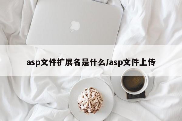 asp文件扩展名是什么/asp文件上传