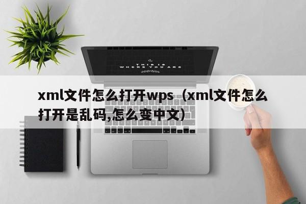 xml文件怎么打开wps(xml文件怎么打开是乱码,怎么变中文)