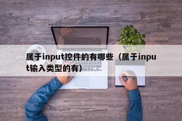 属于input控件的有哪些(属于input输入类型的有)