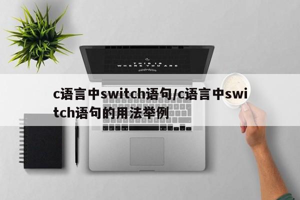 c语言中switch语句/c语言中switch语句的用法举例