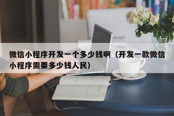 微信小程序开发一个多少钱啊(开发一款微信小程序需要多少钱人民)