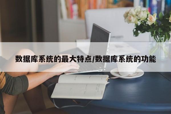 数据库系统的最大特点/数据库系统的功能