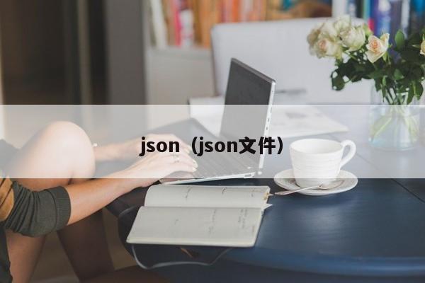 json(json文件)