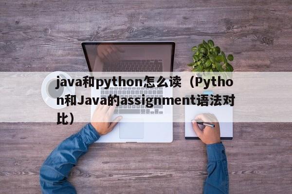 java和python怎么读(Python和Java的assignment语法对比)