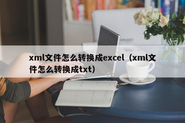 xml文件怎么转换成excel(xml文件怎么转换成txt)