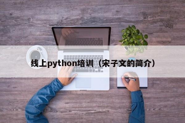 线上python培训(宋子文的简介)
