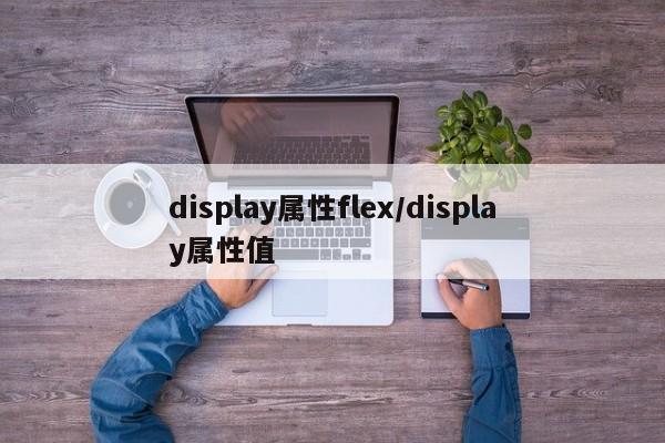 display属性flex/display属性值