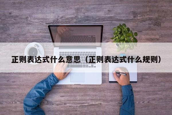 正则表达式什么意思(正则表达式什么规则)