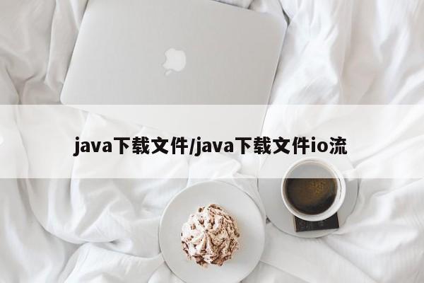 java下载文件/java下载文件io流