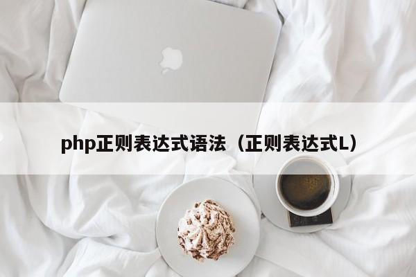 php正则表达式语法(正则表达式L)
