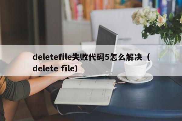deletefile失败代码5怎么解决(delete file)