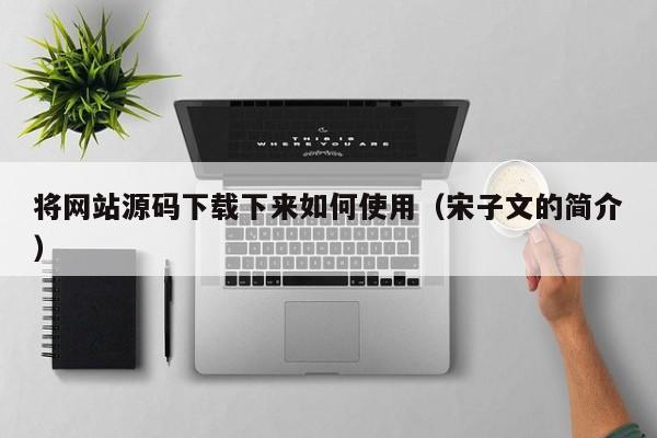 将网站源码下载下来如何使用(宋子文的简介)