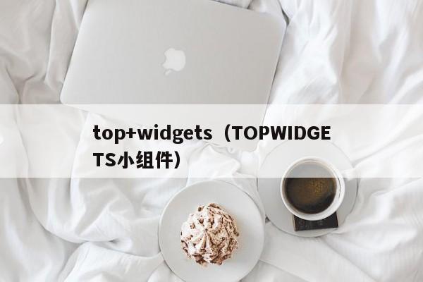 top+widgets(TOPWIDGETS小组件)