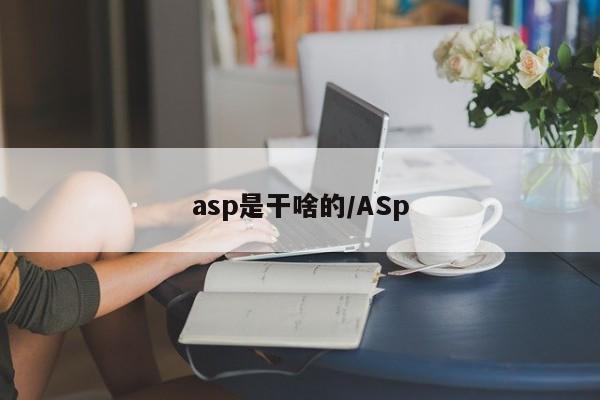 asp是干啥的/ASp