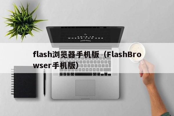 flash浏览器手机版(FlashBrowser手机版)