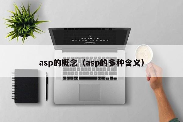 asp的概念(asp的多种含义)