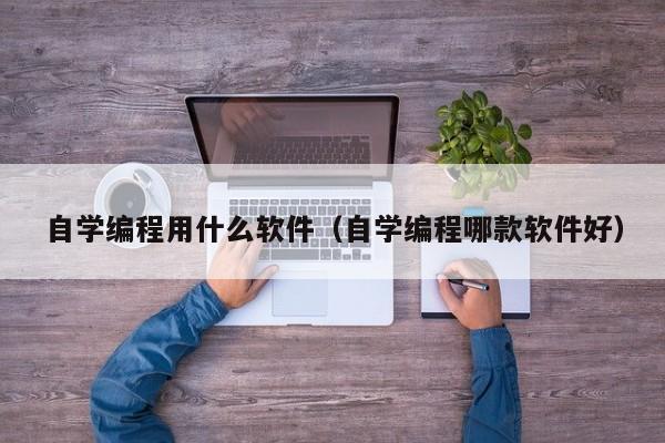 自学编程用什么软件(自学编程哪款软件好)