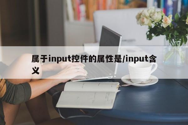 属于input控件的属性是/input含义