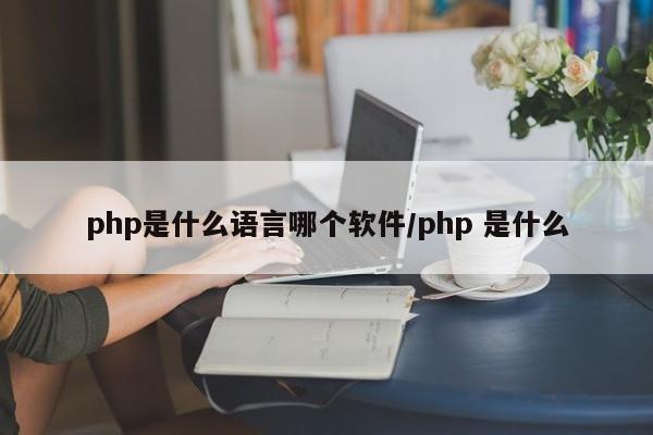 php是什么语言哪个软件/php 是什么