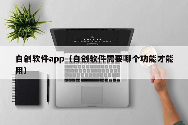 自创软件app(自创软件需要哪个功能才能用)
