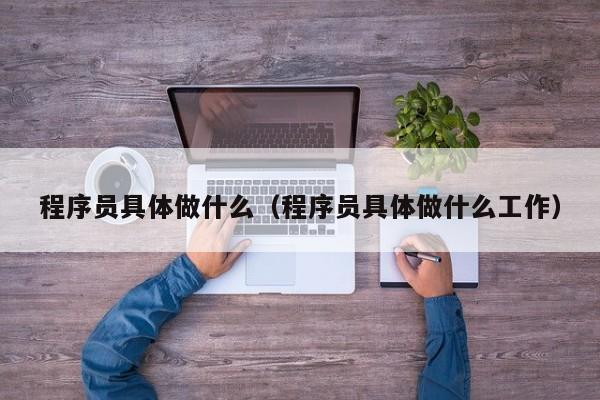 程序员具体做什么(程序员具体做什么工作)