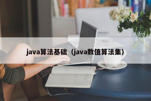 java算法基础(java数值算法集)