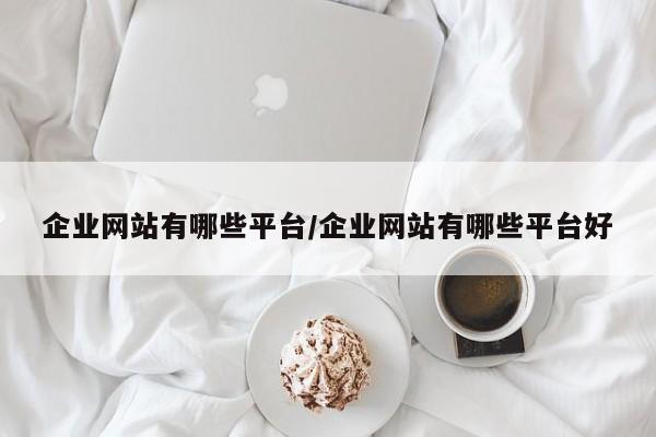 企业网站有哪些平台/企业网站有哪些平台好