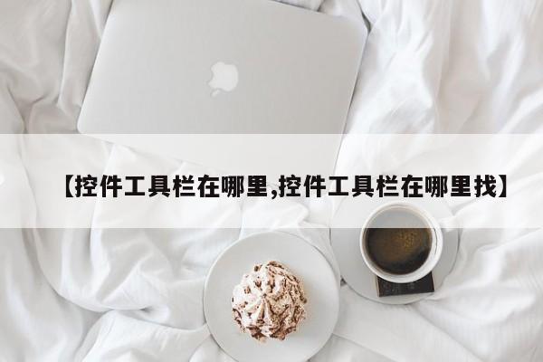 【控件工具栏在哪里,控件工具栏在哪里找】