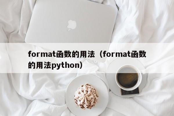 format函数的用法(format函数的用法python)